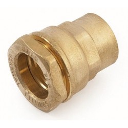 General fittings raccord droit pour HDPE 20mm-1/2"F